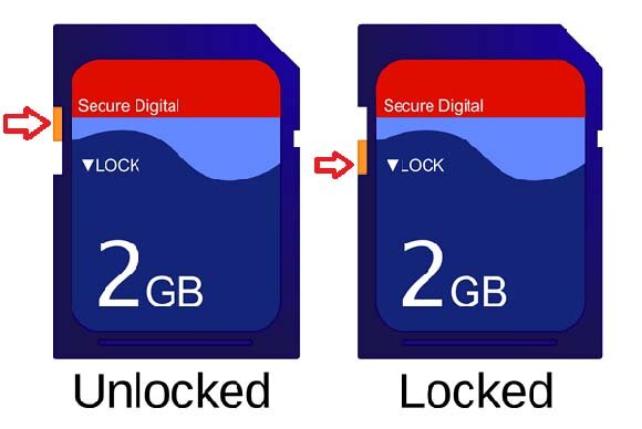 SD Card Not Storing Data [Fixed]