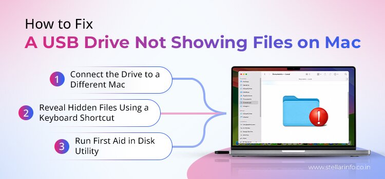 How to Fix a USB Drive Not Showing Files on Windows and Mac [2026]