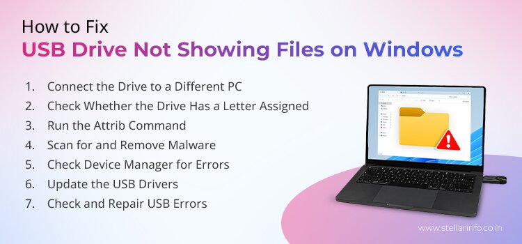 How to Fix a USB Drive Not Showing Files on Windows and Mac [2026]